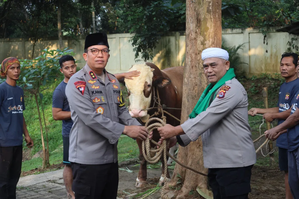 Kapolda Banten Irjen Pol. Abdul Karim Memimpin Pemotongan 85 Hewan Qurban untuk Idul Adha 1444 H