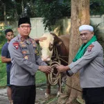 Kapolda Banten Irjen Pol. Abdul Karim Memimpin Pemotongan 85 Hewan Qurban untuk Idul Adha 1444 H