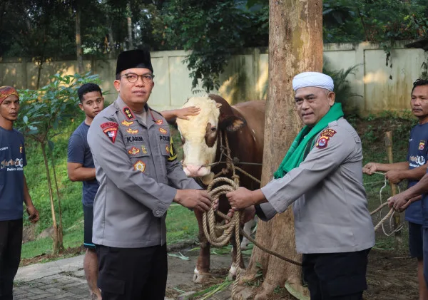 Kapolda Banten Irjen Pol. Abdul Karim Memimpin Pemotongan 85 Hewan Qurban untuk Idul Adha 1444 H