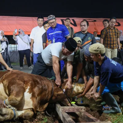 Pj Gubernur Banten Distribusikan Daging Kurban untuk Anak Stunting Melalui Dapur PKK