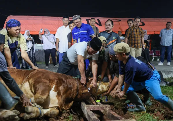 Pj Gubernur Banten Distribusikan Daging Kurban untuk Anak Stunting Melalui Dapur PKK