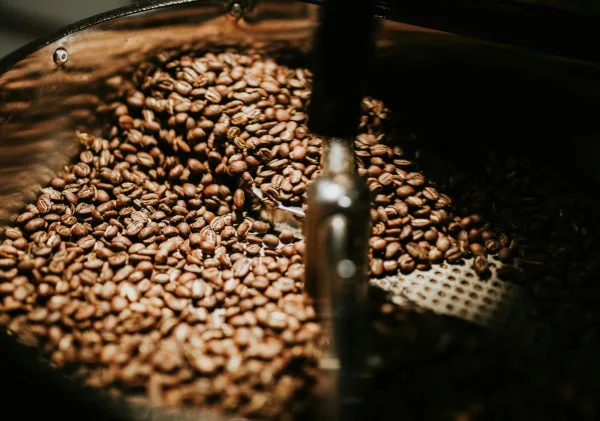 Rahasia Kopi untuk Penurunan Berat Badan: Cara Kerja dan Manfaatnya yang Terbukti