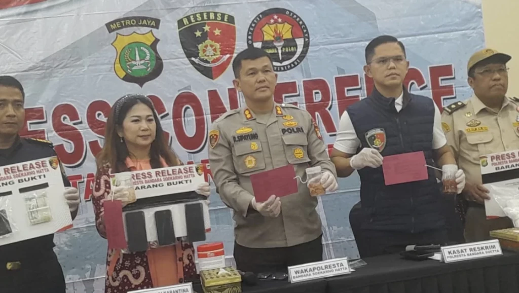 Polresta Bandara Soekarno-Hatta Gagalkan Penyelundupan 125.310 Benih Lobster, Dua Kurir Ditangkap