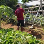 Lapas Kelas IIA Serang Tingkatkan Pembinaan Kemandirian Warga Binaan Melalui Program Hortikultura dan Keterampilan Tekni...
