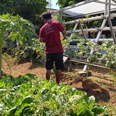 Lapas Kelas IIA Serang Tingkatkan Pembinaan Kemandirian Warga Binaan Melalui Program Hortikultura dan Keterampilan Teknis