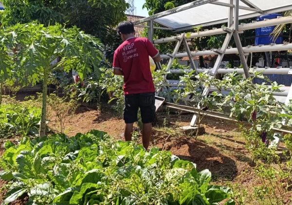 Lapas Kelas IIA Serang Tingkatkan Pembinaan Kemandirian Warga Binaan Melalui Program Hortikultura dan Keterampilan Teknis