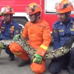 BPBD Kota Tangerang Catat 151 Layanan Kedaruratan Sepanjang September 2024