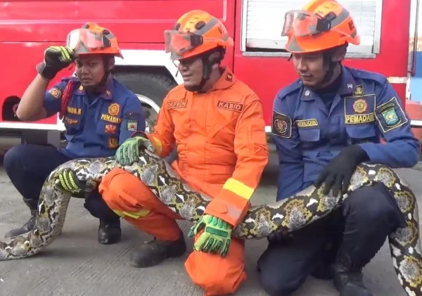 BPBD Kota Tangerang Catat 151 Layanan Kedaruratan Sepanjang September 2024