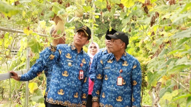 Pj Bupati Tangerang Dukung Pertanian Hidroponik Kelompok Wanita Tani