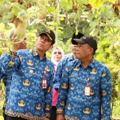 Pj Bupati Tangerang Dukung Pertanian Hidroponik Kelompok Wanita Tani