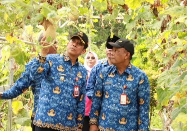 Pj Bupati Tangerang Dukung Pertanian Hidroponik Kelompok Wanita Tani