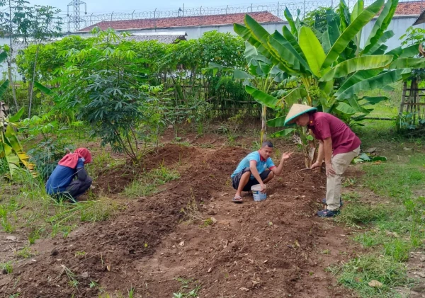 Presiden Prabowo Fokus Tingkatkan Kemandirian Pertanian di Lapas untuk Penuhi Kebutuhan Pangan Nasional