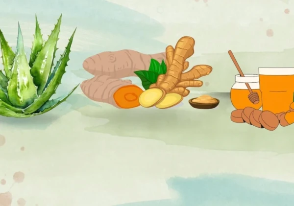 TOGA: Memanfaatkan Tanaman Obat untuk Kesehatan Keluarga