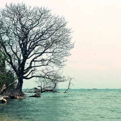 Keindahan Pulau Dua: Surga Burung dan Keanekaragaman Alam di Ujung Pantai Utara Banten