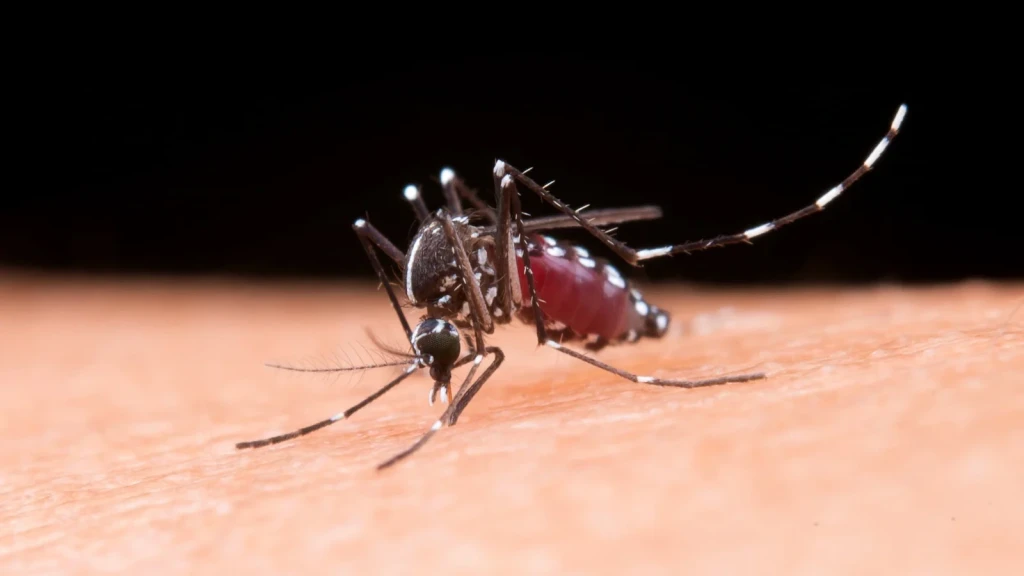 Pemkot Tangerang Ingatkan Warga Waspadai Penyakit Musim Hujan