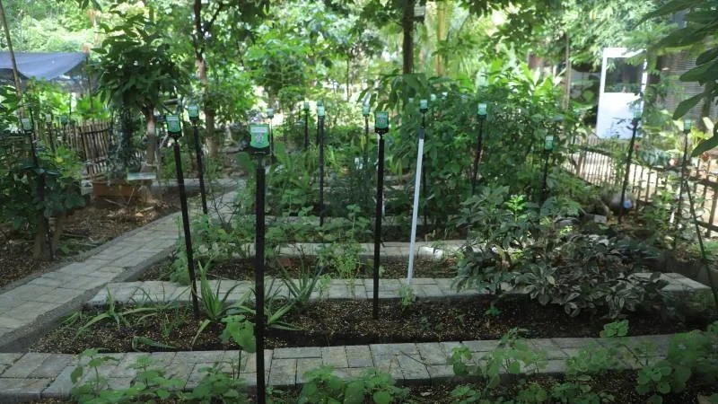 Kelompok Wanita Tani (KWT) Mina Tani Lestari di Panunggangan Barat, Cibodas, Kota Tangerang, Tawarkan Eduwisata untuk Anak dan Pelajar