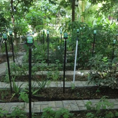 Kelompok Wanita Tani (KWT) Mina Tani Lestari di Panunggangan Barat, Cibodas, Kota Tangerang, Tawarkan Eduwisata untuk Anak dan Pelajar