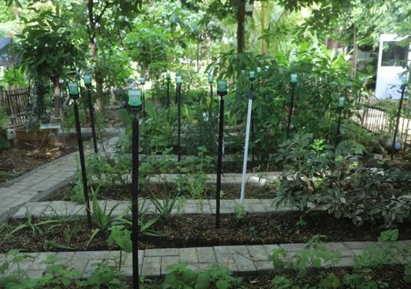 Kelompok Wanita Tani (KWT) Mina Tani Lestari di Panunggangan Barat, Cibodas, Kota Tangerang, Tawarkan Eduwisata untuk Anak dan Pelajar