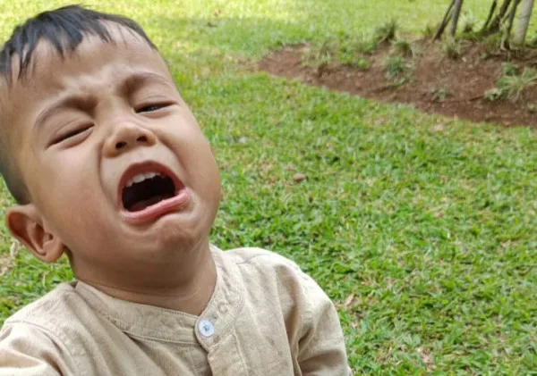 Teknologi Maju, Petani Tergusur: Siapa yang Menanam untuk Masa Depan?