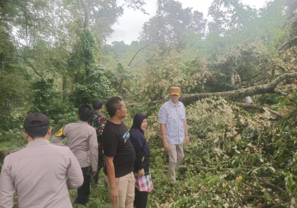 CAMAT MANCAK SIGAP TANGANI BENCANA DI DESA WINONG
