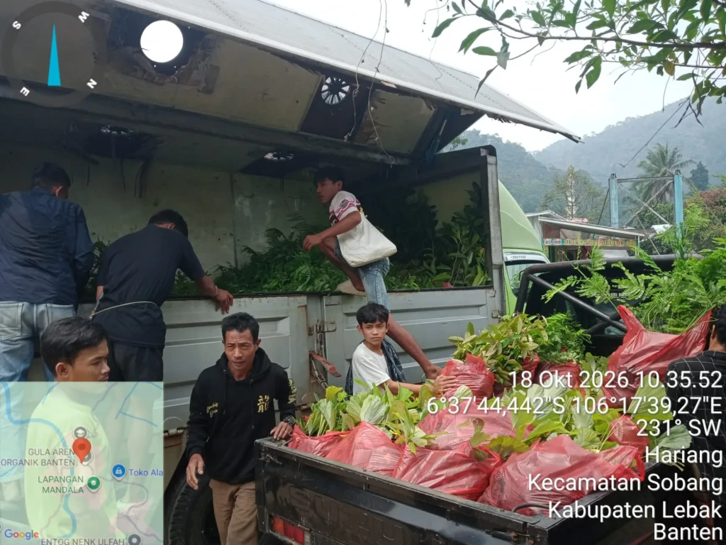 Kendala Akses Teratasi, 5.700 Bibit Baduy Lestari Tiba di Monggor Kanas
