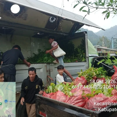 Kendala Akses Teratasi, 5.700 Bibit Baduy Lestari Tiba di Monggor Kanas