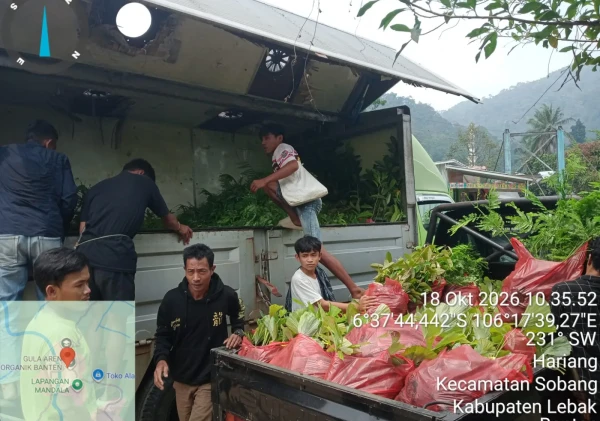 Kendala Akses Teratasi, 5.700 Bibit Baduy Lestari Tiba di Monggor Kanas