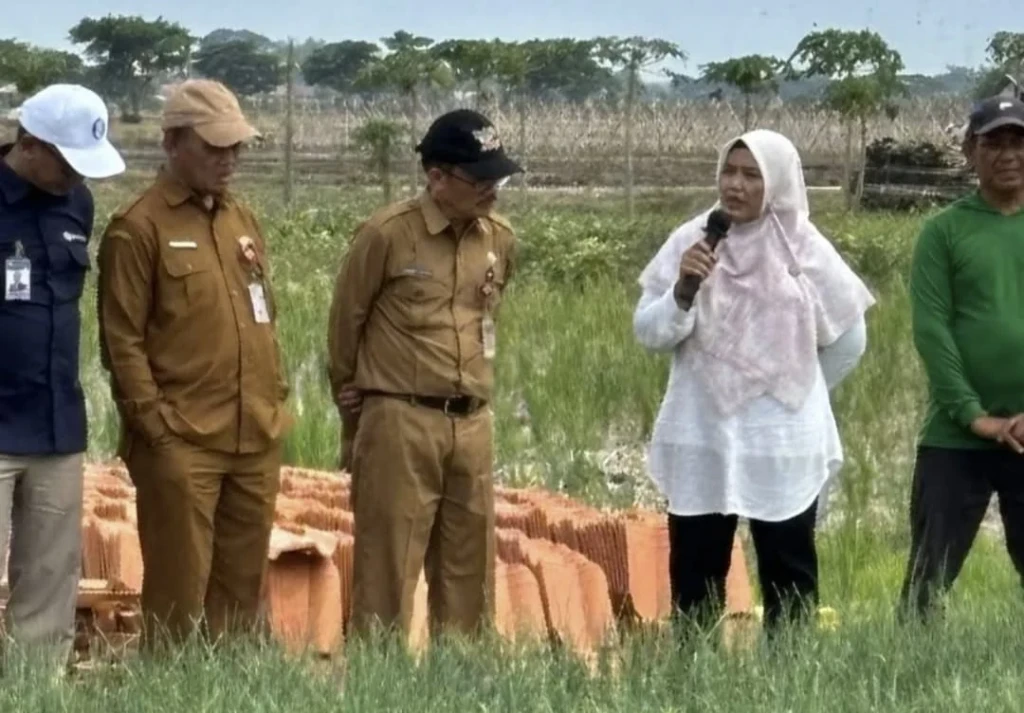 Kolaborasi Dinas Pertanian Banten dan Bank Indonesia Wilayah Banten untuk Meningkatkan Produksi Bawang Merah