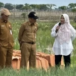 Kolaborasi Dinas Pertanian Banten dan Bank Indonesia Wilayah Banten untuk Meningkatkan Produksi Bawang Merah