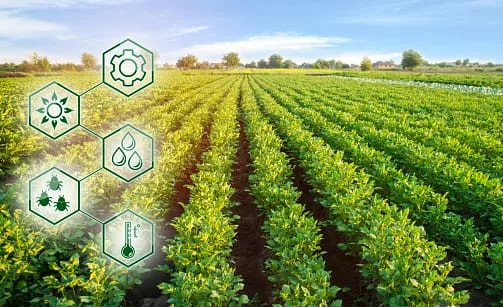 Agroindustri Berkelanjutan: Menjawab Tantangan Iklim dan Pangan di Era Modern