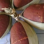 Dari Pohon Aren ke Pasar Dunia, Gula Lebak Jadi Mesin Ekonomi Masyarakat