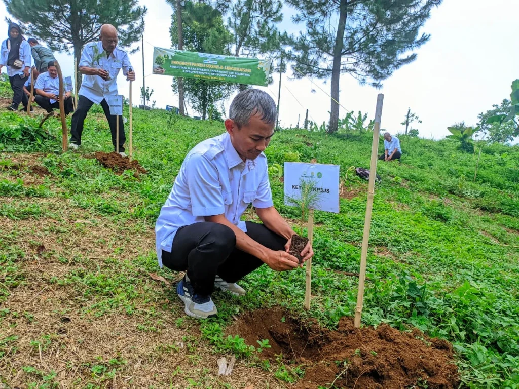 Perhutani Purwakarta Tanam Ribuan Pohon, Lestarikan Hutan