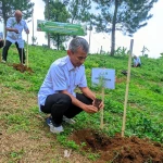 Perhutani Purwakarta Tanam Ribuan Pohon, Lestarikan Hutan