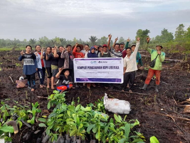 KSM Bandaraya Cahaya Gemilang Kembali Lakukan Penanaman 800 Bibit Kopi Liberika