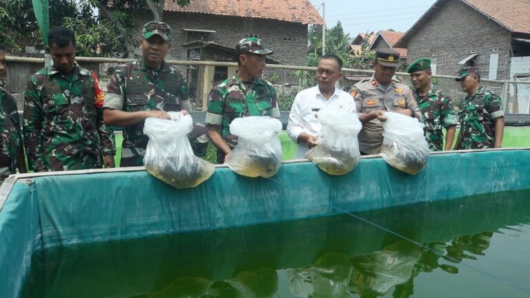 Tabur 2.000 Bibit Ikan, Dandim 0602/Serang Jaga Ketahanan Pangan