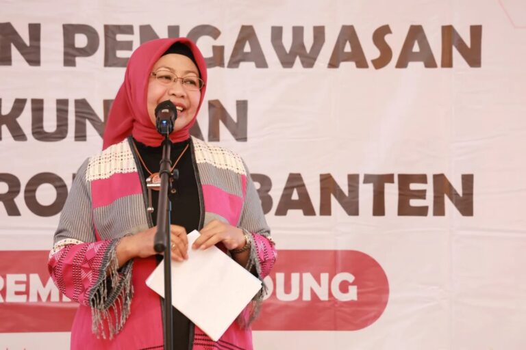 APIP Harus Berperan Dalam Percepatan Pembangunan Daerah