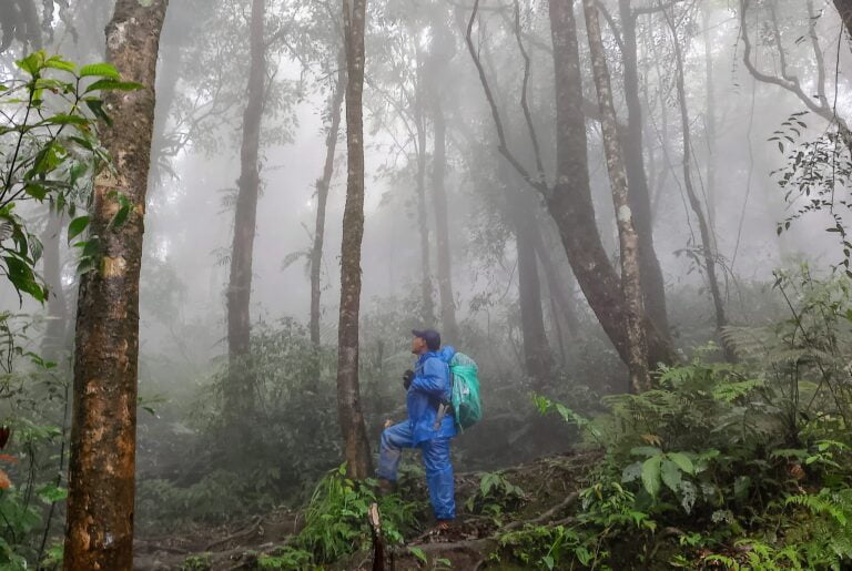 10 Keterampilan Penting untuk Bertahan Hidup di Hutan