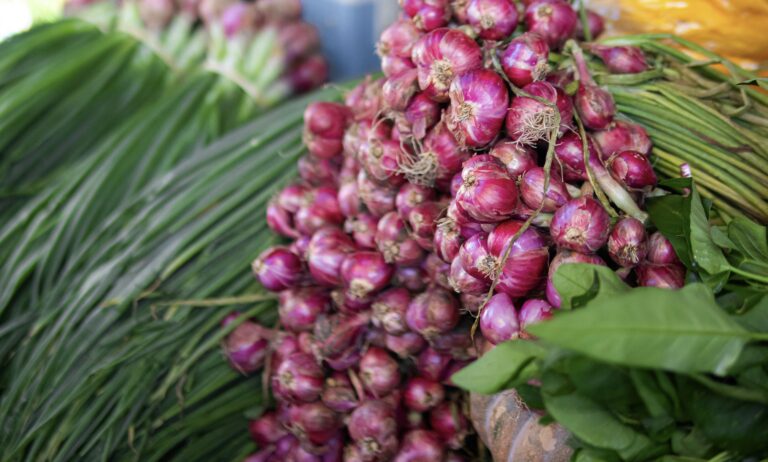 Pertanian Bawang Merah: Strategi Unik Banten untuk Kendalikan Inflasi
