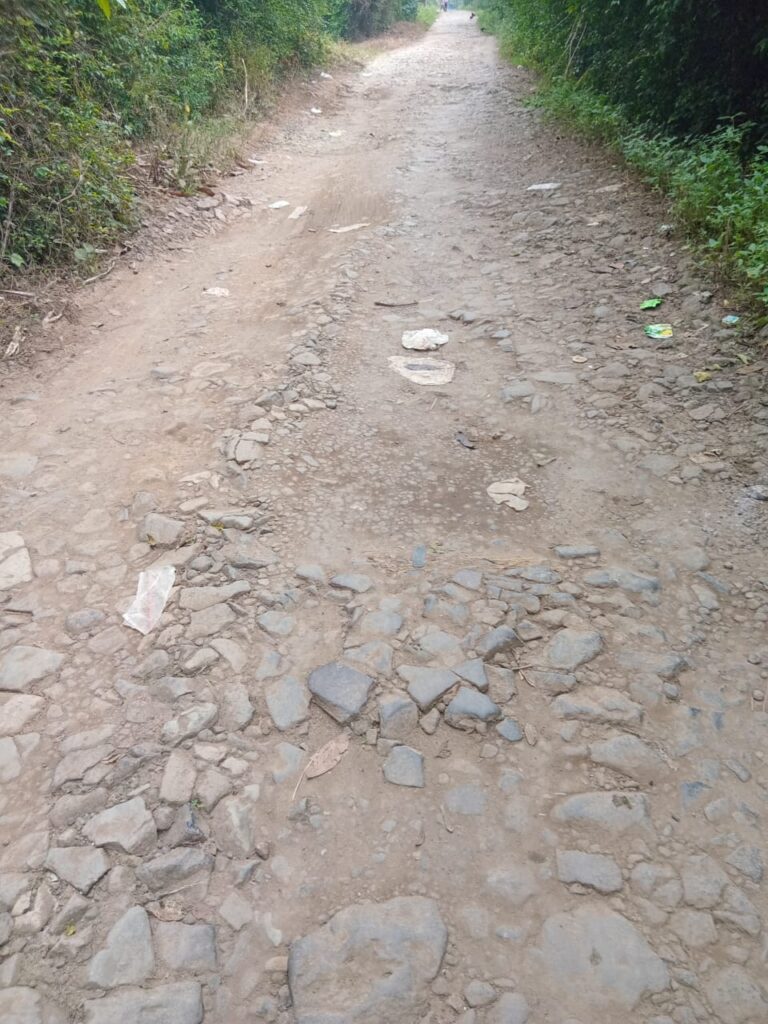 Kerusakan Jalan di Desa Sindangsari, Kabupaten Serang : Warga Menyerukan Tindakan Perbaikan dari Pihak Berwenang