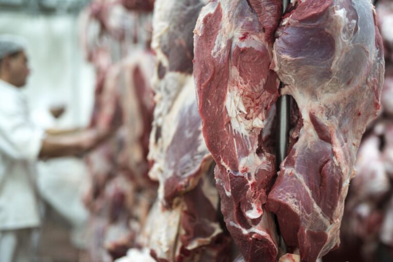 Peran Strategis Pengujian Fisik dalam Rangkaian Analisis Pangan untuk Deteksi Dini Kualitas dan Keamanan Daging Kurban