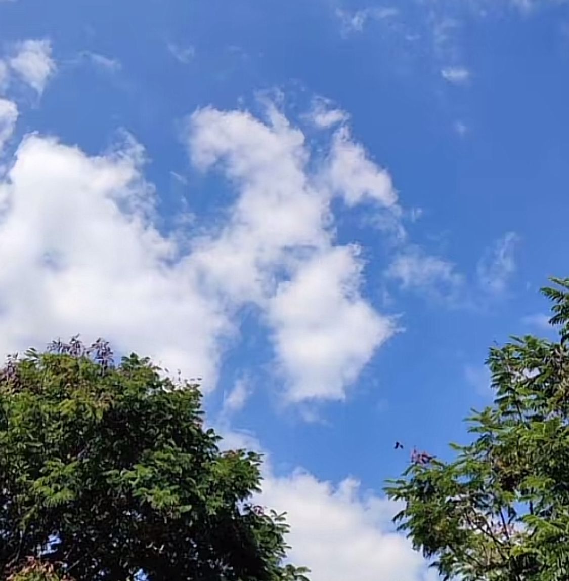 Prakiraan Cuaca Serang Rabu, 24 September 2025: Hangat dan Berawan