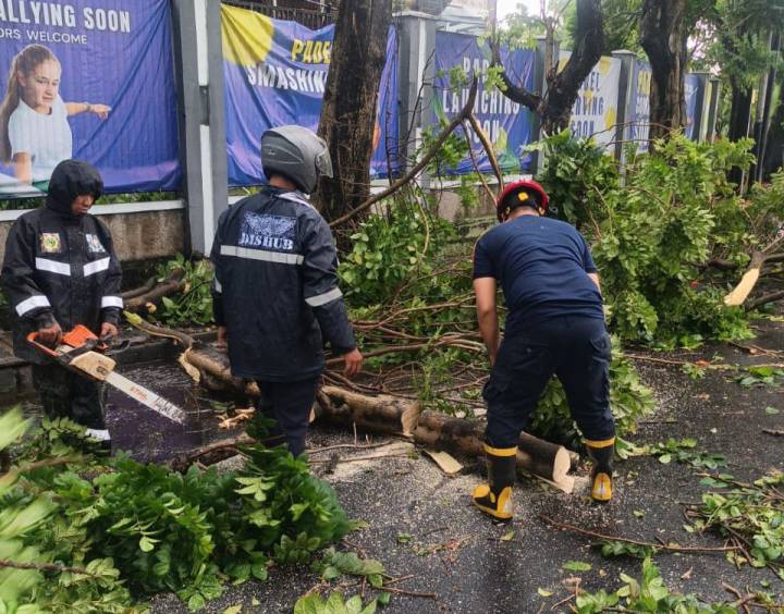 Hujan Deras Disertai Angin Kencang Terjang Kota Tangerang, Pohon Tumbang Timpa Kendaraan dan Tutup Akses Jalan