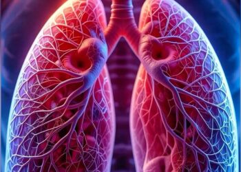 Udara Kotor, Paru-Paru Terancam: Pentingnya Menjaga Kualitas Udara di Sekitar Kita