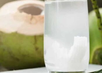 Manfaat Air Kelapa untuk Hidrasi dan Detoks Tubuh, Minuman Alami yang Segar dan Menyehatkan