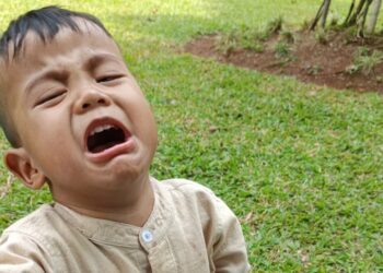 Teknologi Maju, Petani Tergusur: Siapa yang Menanam untuk Masa Depan?