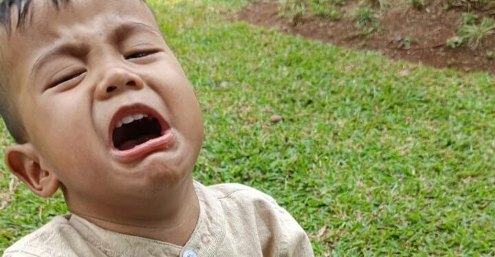 Teknologi Maju, Petani Tergusur: Siapa yang Menanam untuk Masa Depan?