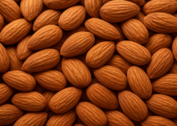 Kacang Almond, Camilan Sehat Penjaga Fungsi Otak