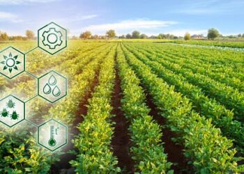 Agroindustri Berkelanjutan: Menjawab Tantangan Iklim dan Pangan di Era Modern