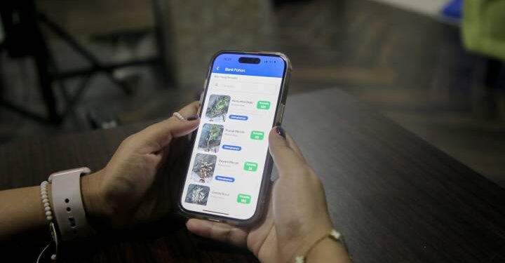 Inovatif! Pemkot Tangerang Luncurkan “Bank Pohon” di Super Apps Tangerang LIVE, Warga Bisa Minta Bibit Pohon Gratis dari Gawai