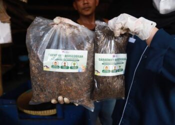 Pasar Saraswati Ciledug Jadi Pelopor Pasar Hijau: Olah 3 Ton Sampah Jadi Emas Hijau Lewat Budidaya Maggot!